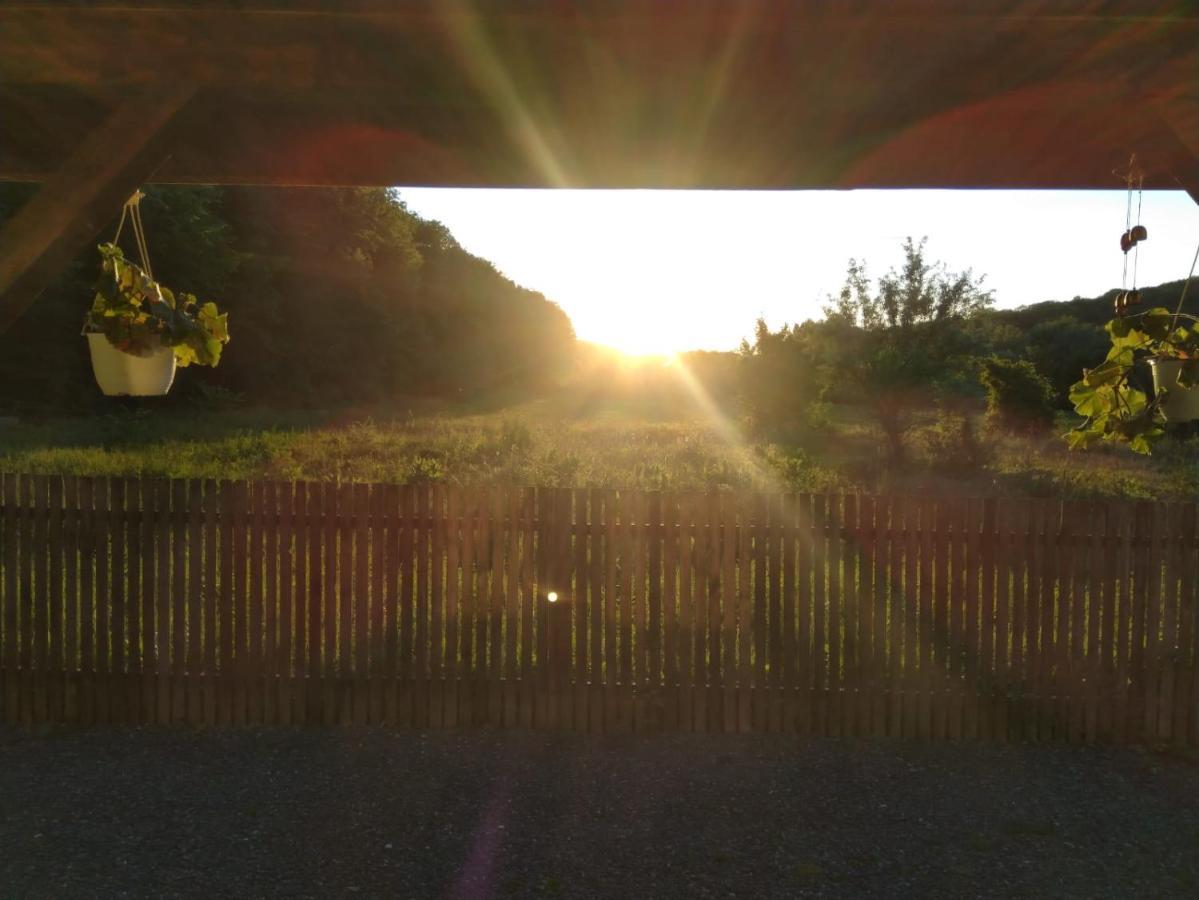 Agropensiunea Cetatuia Luncavita Exteriér fotografie