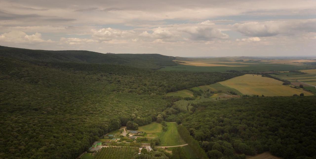 Agropensiunea Cetatuia Luncavita Exteriér fotografie