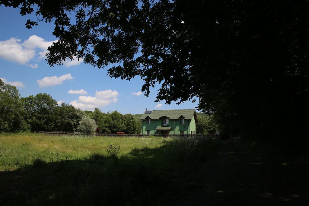 Agropensiunea Cetatuia Luncavita Exteriér fotografie