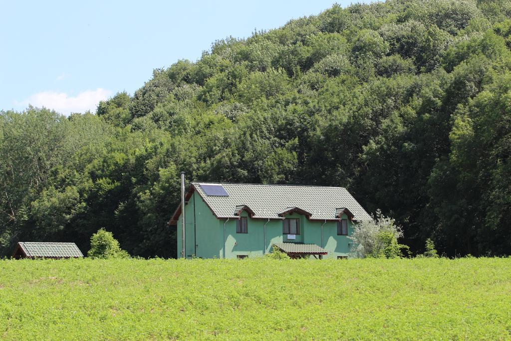 Agropensiunea Cetatuia Luncavita Exteriér fotografie