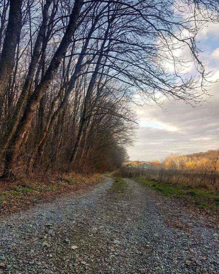 Agropensiunea Cetatuia Luncavita Exteriér fotografie