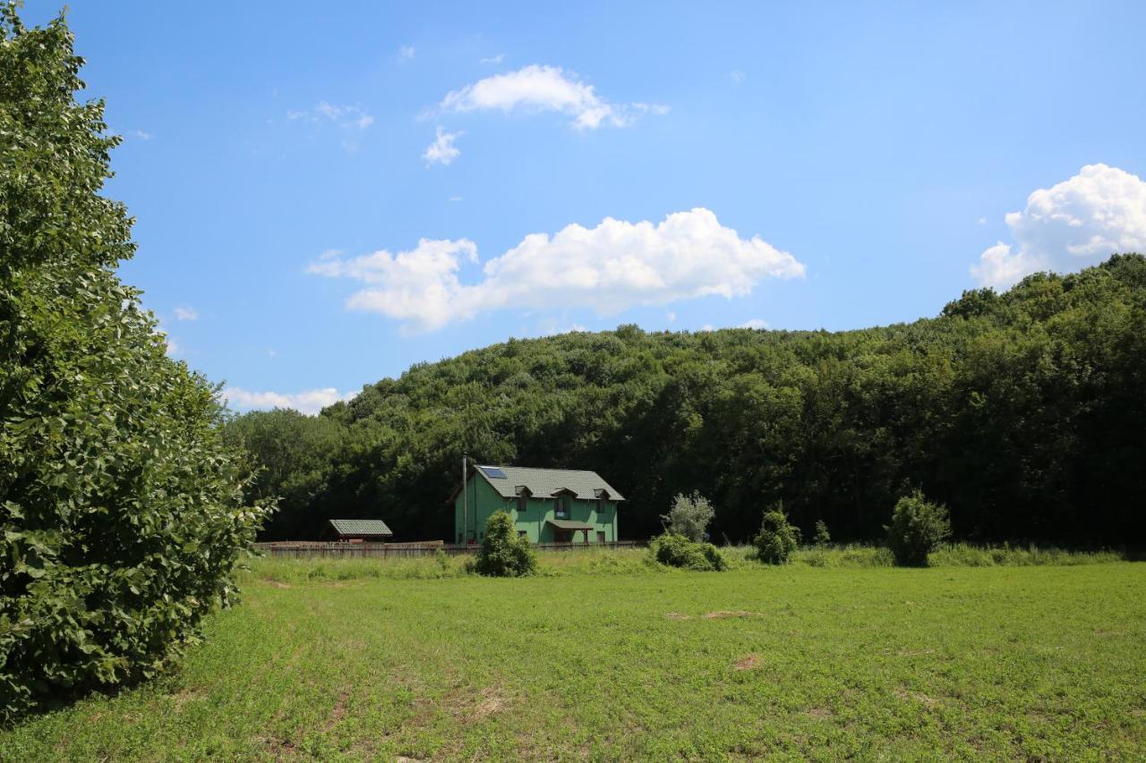 Agropensiunea Cetatuia Luncavita Exteriér fotografie